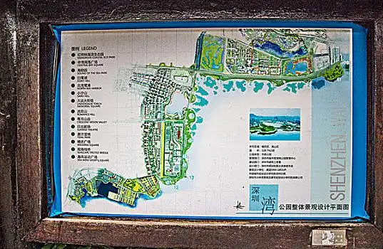 深圳湾公园图片