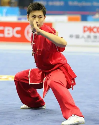 袁和平:中国电影走出国际靠的是功夫动作片,张晋以后还会有谁?