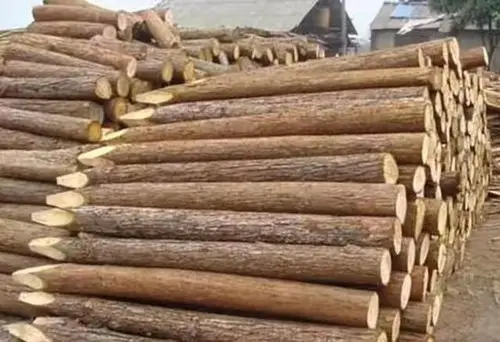 松木桩 圆木柱 工地打木桩批发