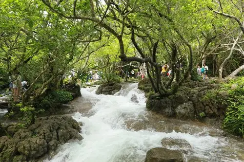 贵州行～荔波小七孔-2017-08-20