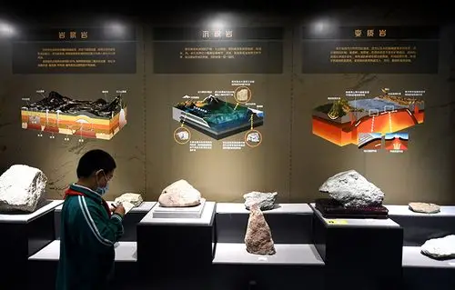 5月18日,西岗头小学的学生在河北省地质博物馆参观.