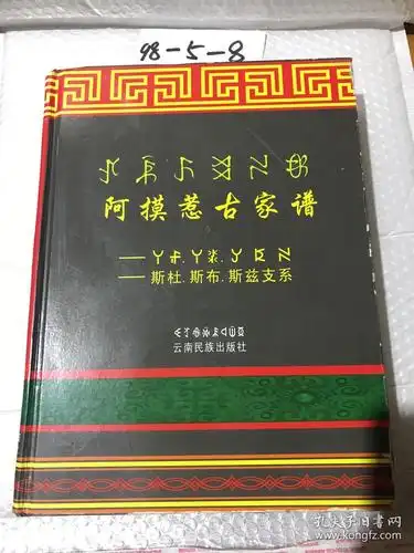 阿摸惹古家谱 斯杜 斯布 斯兹支系 汉彝