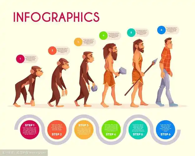 人类进化信息图时间线变换