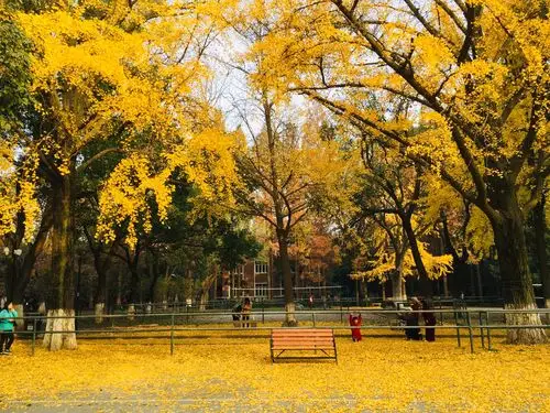 苏州大学校园秋色