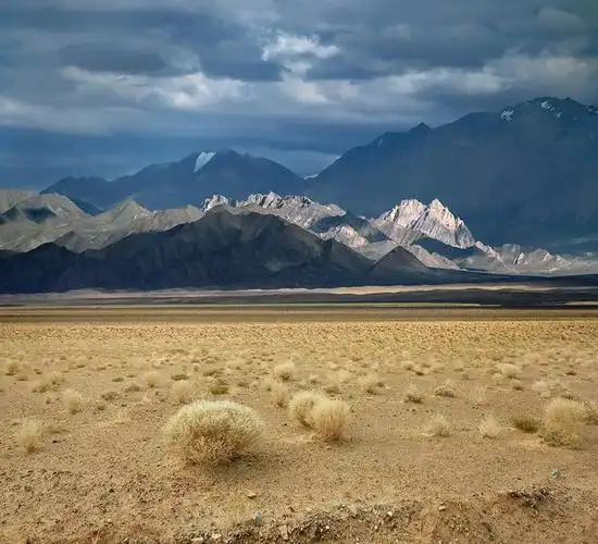海拔4458米的阿尔金山脉无人区风景如何?