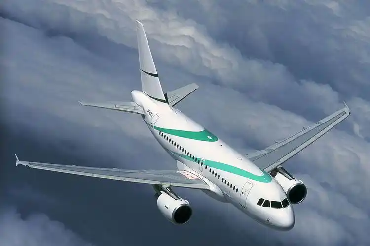 飞商网 公务包机 空中客车acj318