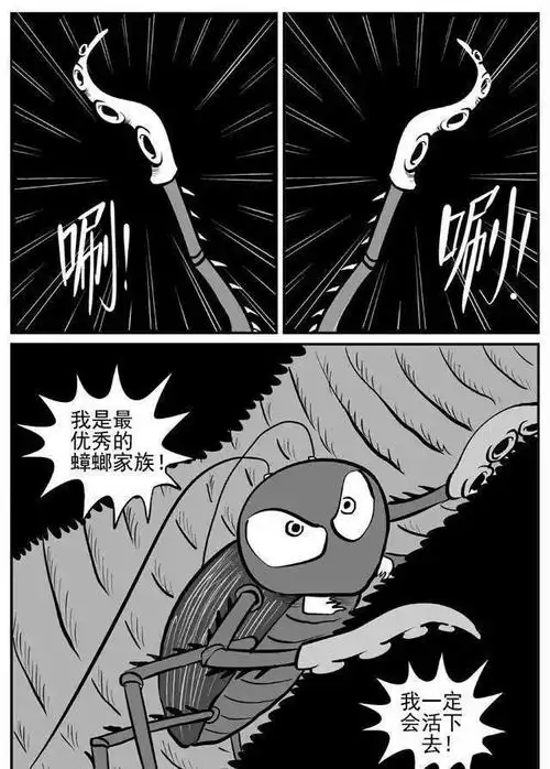 可能出现几十甚至上百只它的后代,而两个月之后,这些后代也会开始产卵