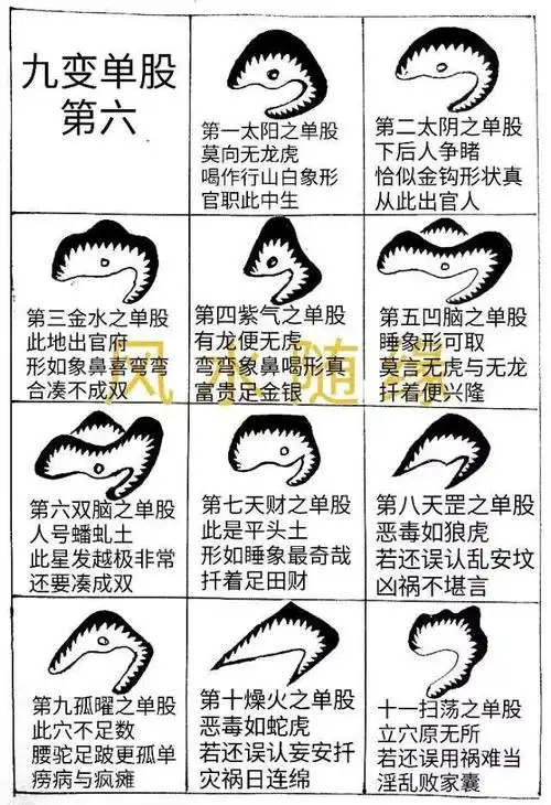 其它 九星九变 写美篇杨公《撼龙经》: "贪狼作穴是乳头,巨门作穴窝中