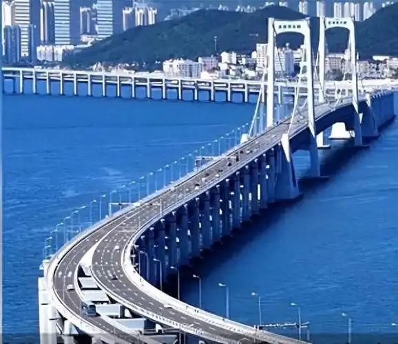 大连一跨海大桥建设单位被罚2700多万元海洋局建设程序违规当时无海域