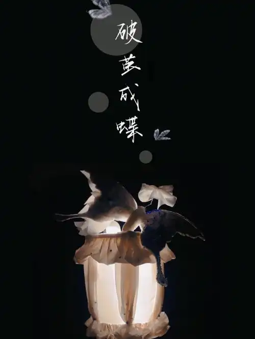 破茧成蝶