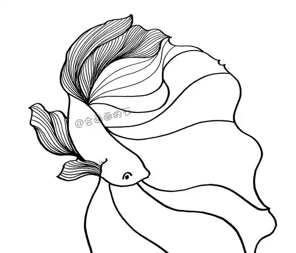 3款简笔画金鱼,零基础也可以画的线描画