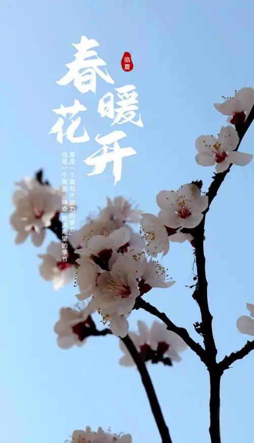 海报丨春暖花开奔你而来