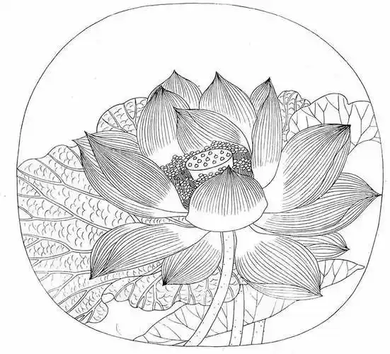 花鸟草虫蔬果 | 宋画小品114套白描底稿 彩图工笔画高清素材