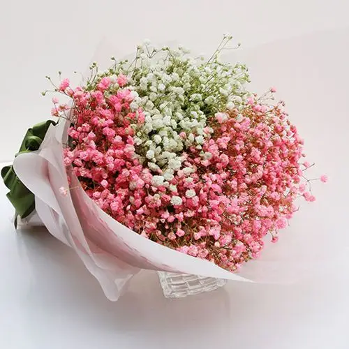 白蓝粉彩色满天星花束生日毕业武汉阳武昌江岸硚口区鲜花同城速递