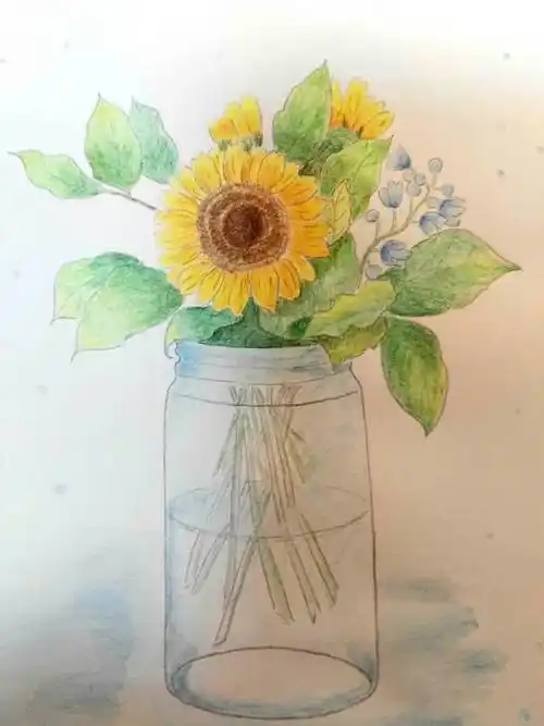 初学水彩画初学者 水彩画自学