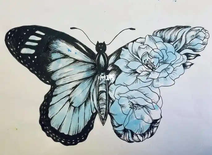 手绘创意线描马克笔蓝色蝴蝶