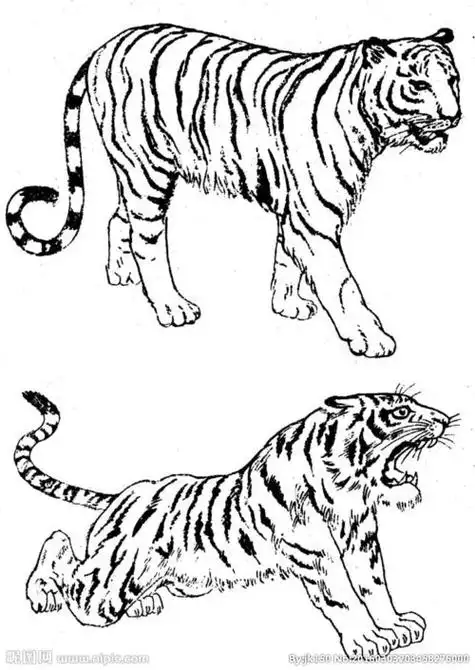 老虎的画法图片幼儿简笔画老虎的画法图片