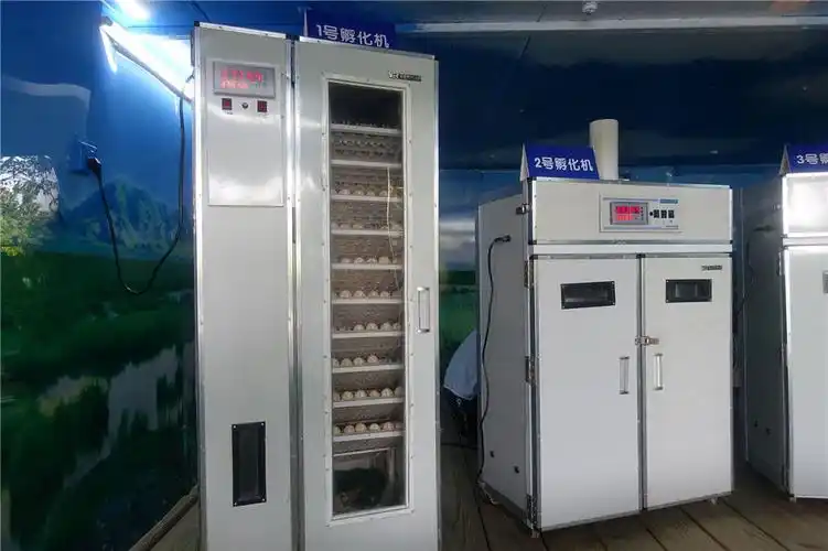 设立四大科普功能展区:鸟类孵化创新科普课堂,鸟类育婴箱,鸟类孵化室