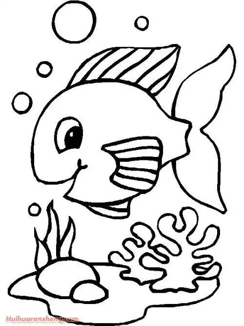 海边鱼简笔画欣赏