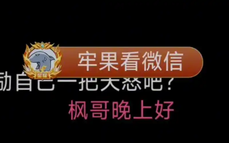 fg火箭弹幕"牢果看微信",给正沉溺在掉分悲伤中的果小果拉回现实"什么