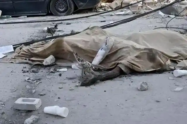 尸体的臭味那味道比臭鸡蛋还要难闻基本上一辈子都忘不了