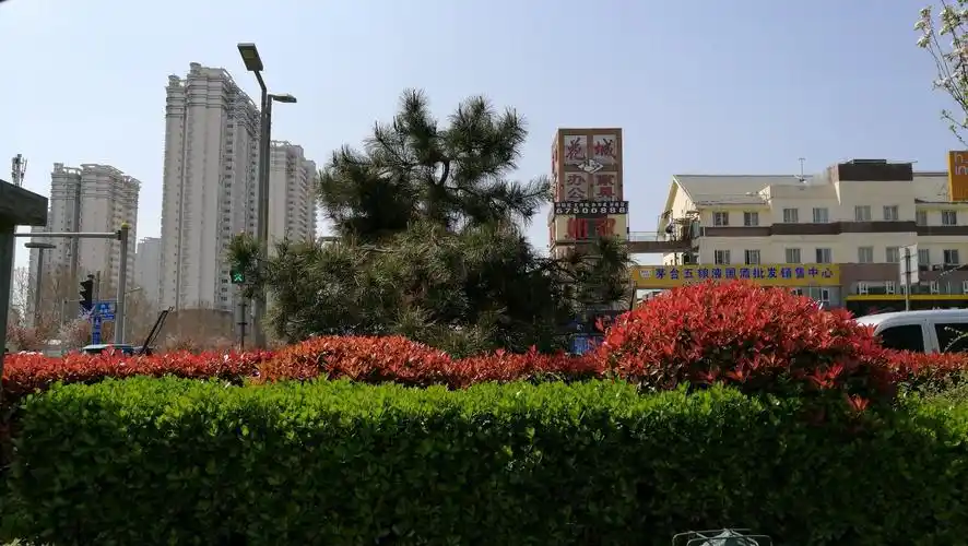 河南省洛阳市洛龙区龙门大道靠近中国电信(科侨专营店)天气预报