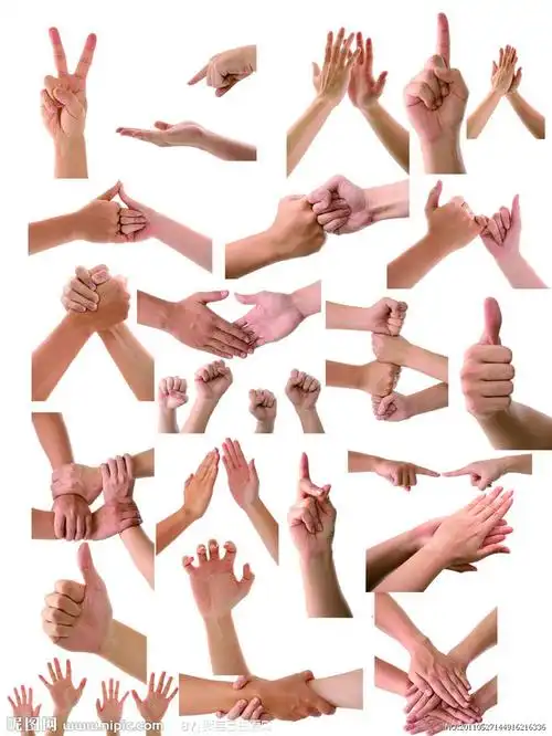 各种手势手势手掌巴掌手心手部特写男人手女人手指示一群人的手人物