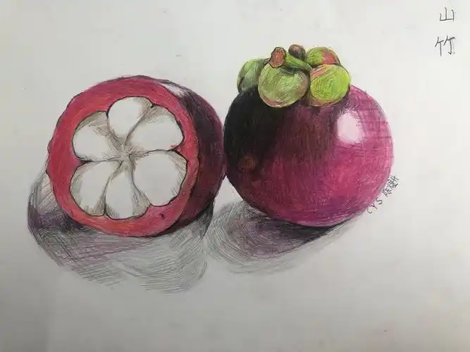 淄博少儿美术中心2019下10画室周六下午彩铅水果作品