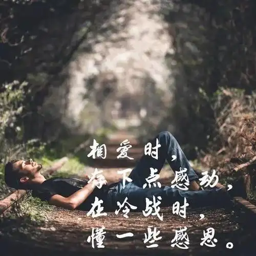 成熟不过是善于隐藏沧桑不过是无泪有伤