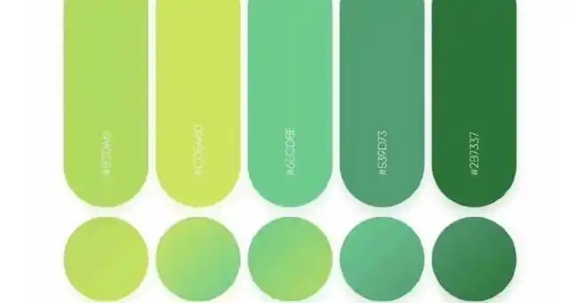 绿色最佳配色表