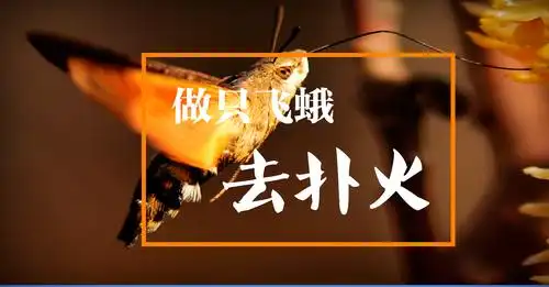 做只飞蛾,去扑火.