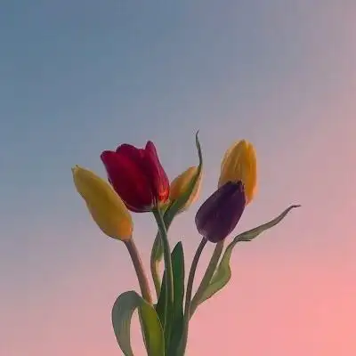 2022微信头像唯美清新图片意境想和你一起度过的夜晚qq头像女生背影