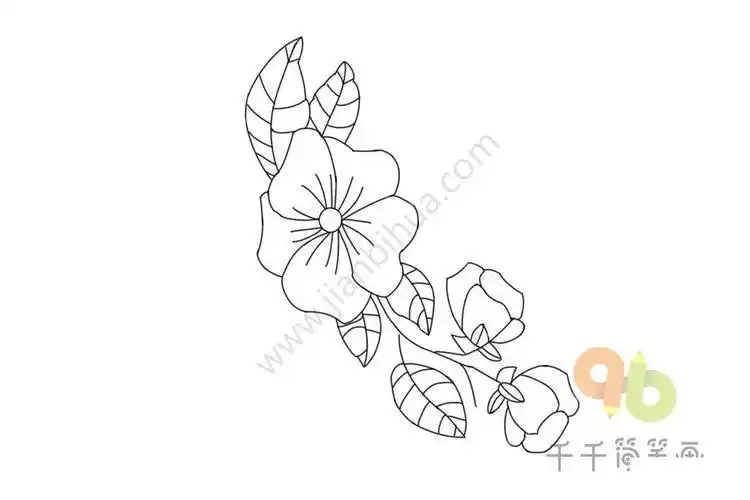藤上的花简笔画