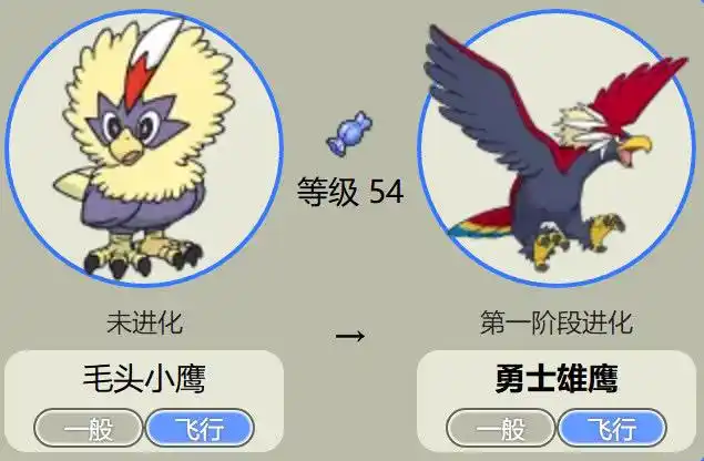 鹰类神奇宝贝有9只,小智拥有其中5只,第8只被称为死亡之神!