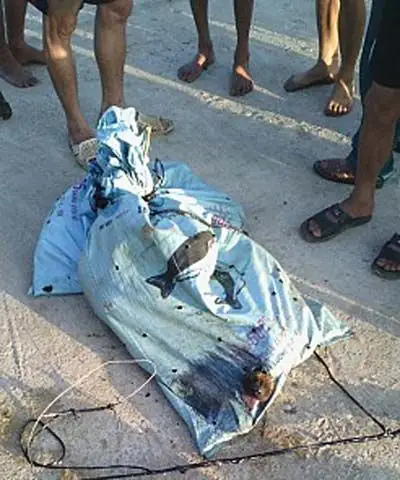 越南村民乱棍暴打偷狗贼 两小偷被打死(图)