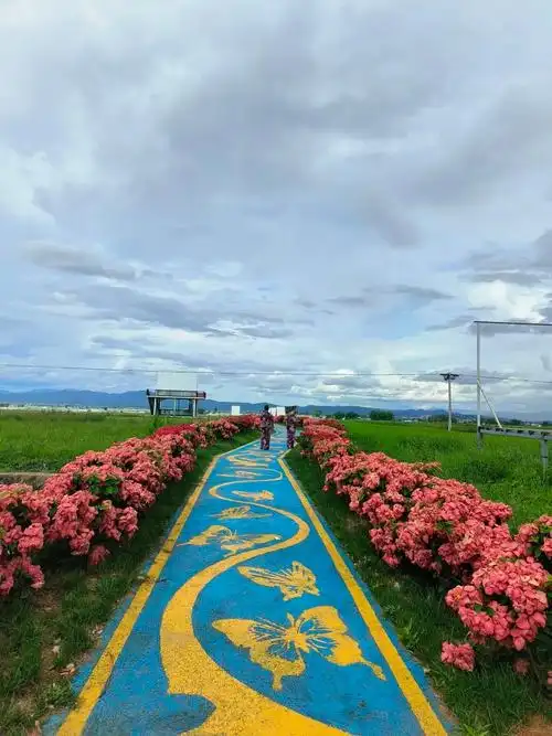 【绿美西双版纳】绿美建设提升村庄"颜值"_要闻_西双版纳_云南网