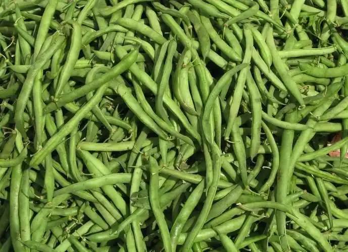 "夏菜冬吃",怎么少得了它?_豆角