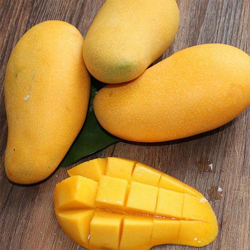 金煌特大芒果新鲜现货海南水仙三亚果超芒果