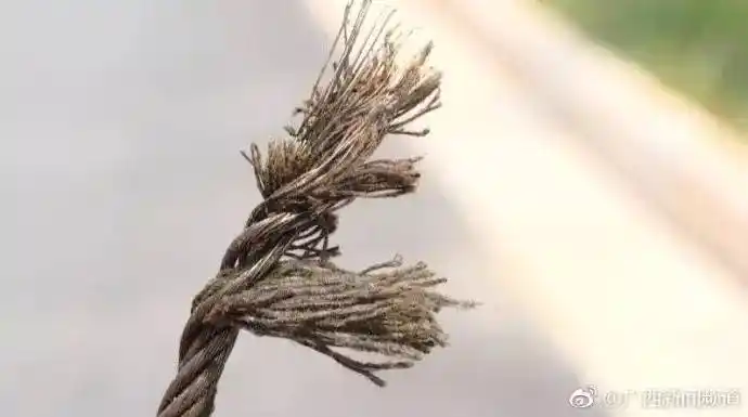 险!十吨铁架砸中车顶,电视教的一个动作竟救了他一命