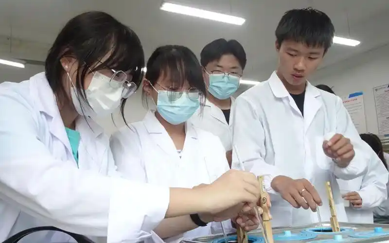 青岛大学生科院2022年9月26日实验课