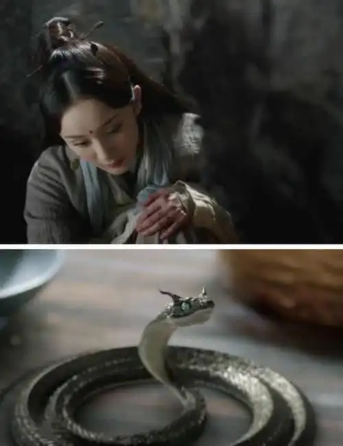 《三生三世十里桃花》夜华小黑蛇.