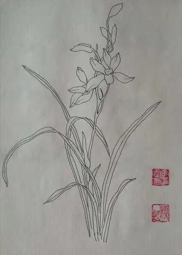 兰花的画法兰花的画法步骤图