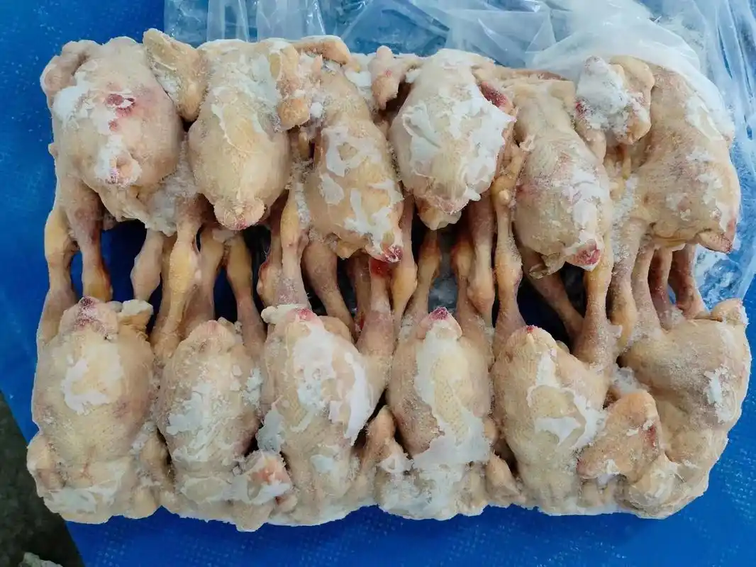 三黄鸡.二级三黄鸡 #冻品批发 #支持全国发货 #源头厂家直 - 抖音