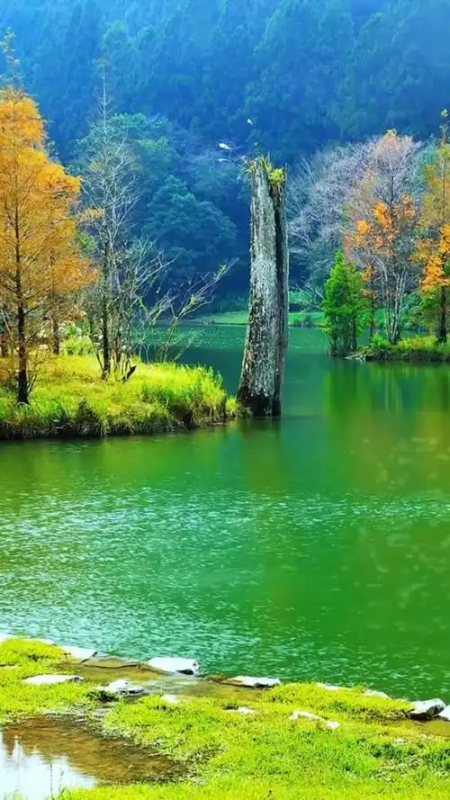 青山绿水鸟语花香太美了