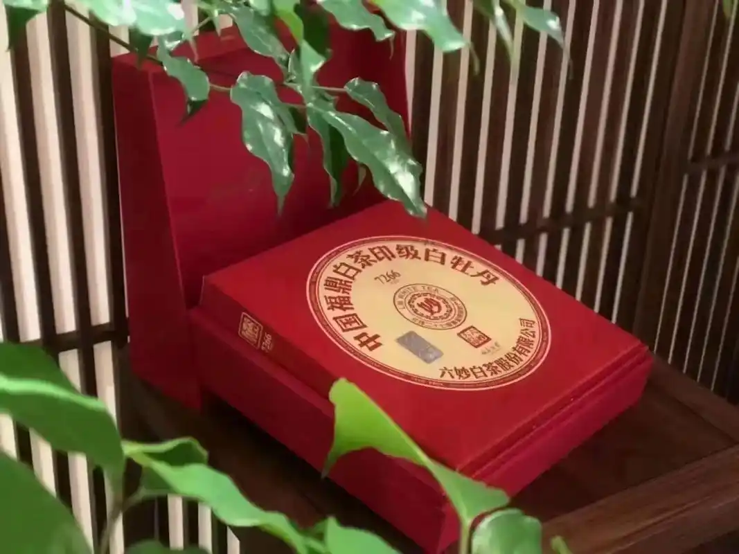 中国好白茶六妙大红印庆祝庆祝庆祝