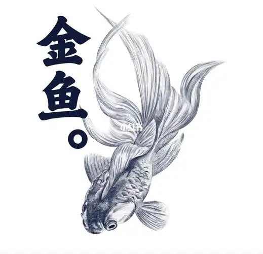 素描金鱼