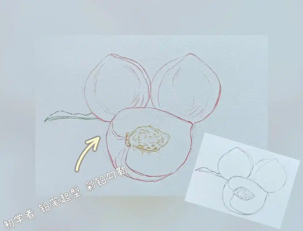 彩铅画画入门教程 水蜜桃的高清过程图来咯 - 抖音