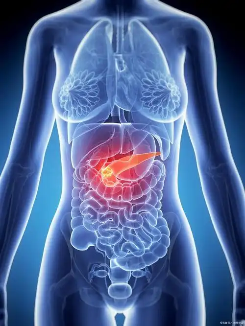 "胰腺,这个平日里低调的器官,一旦出问题,往往就是大问题.