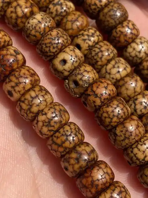 老星月菩提迷人的开片收缩水亮的孔道