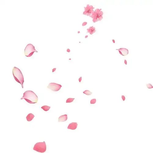 飘落的粉色桃花或樱花花瓣图片免抠素材